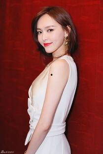 李石成人搏击视频大全,实战技巧与策略解析