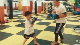 李石成人搏击视频大全,实战技巧与策略解析