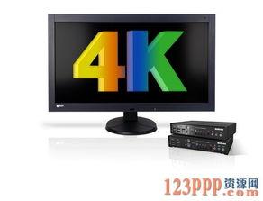 dp成人短视频,探索数字时代下的娱乐新风尚