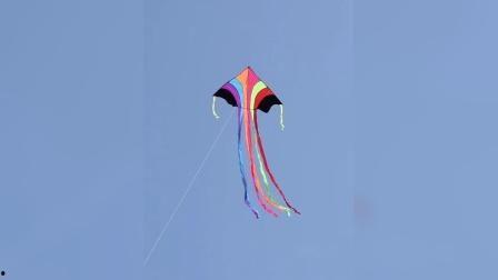 成人彩虹弹力绳游戏视频,成人健身新潮流，趣味运动视频解析