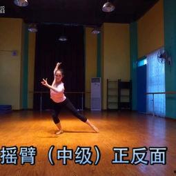 沈丘成人舞蹈视频大全,视频大全中的舞动魅力