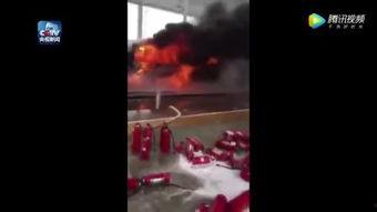 成人鼓狮视频,成人鼓狮技艺的精彩瞬间