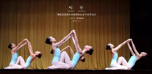 成人舞蹈雁翎之舞视频大全,成人舞蹈视频大全赏析