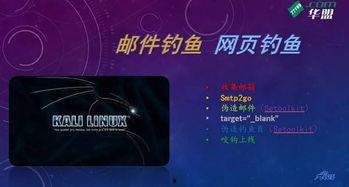 成人钓鱼课程视频免费下载,掌握钓鱼技巧,享受宁静时光