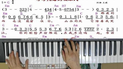 成人电子琴视频教学