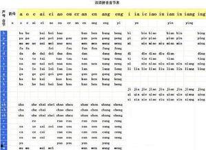 成人学拼音音节视频,成人学拼音音节视频教程概览