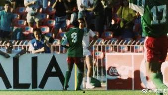 bense视频成人,Bense视频深度解析