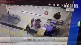 00成人网视频,揭秘热门内容背后的故事