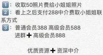 色成人福利视频,内容解析与影响探讨