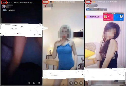 成人短短视频链接,一窥生活百态